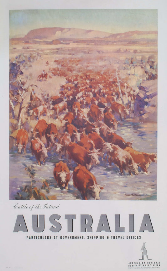 Cattle Of The Inland, Australia [Northern Territory]